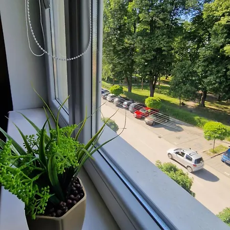 Park Oaza * Čačak